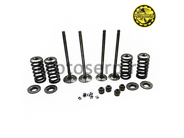 Купить  Клапан 174YMN (впуск/выпуск) (D-28mm, d-24mm, L-101mm, l-100mm, T-5mm, t-5mm) (компл) (Regul 1140400250002, 1140400280003 купить с доставкой по Москве и России, цена, технические характеристики, комплектация фото  - motoserp.ru