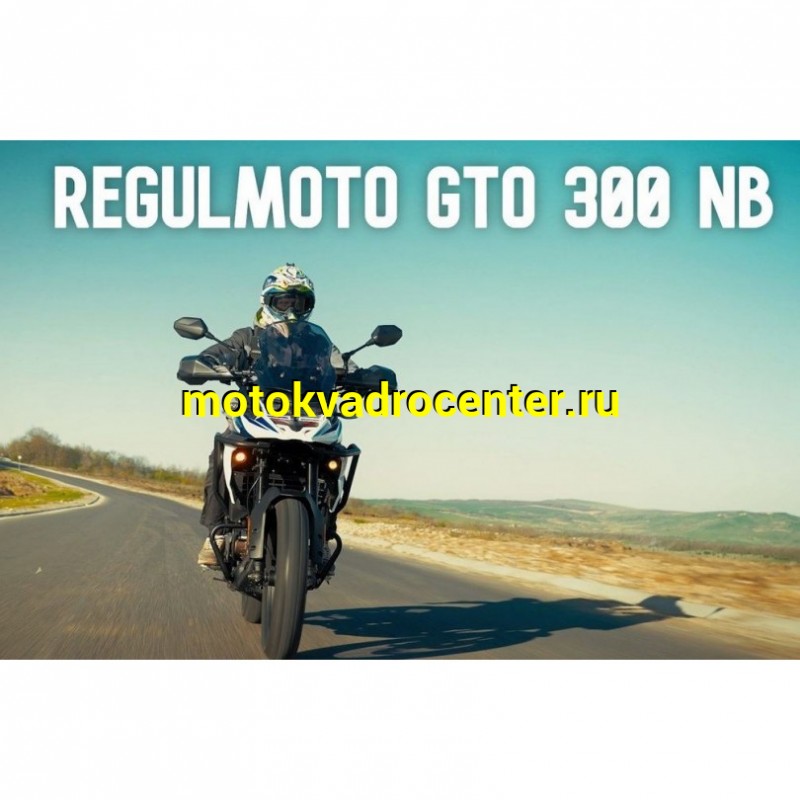 Купить  Мотоцикл внедорожный Regulmoto GTO (ЭПТС) 300 NB ZS174NB, 17/17" (шт) купить с доставкой по Москве и России, цена, технические характеристики, комплектация фото  - motoserp.ru