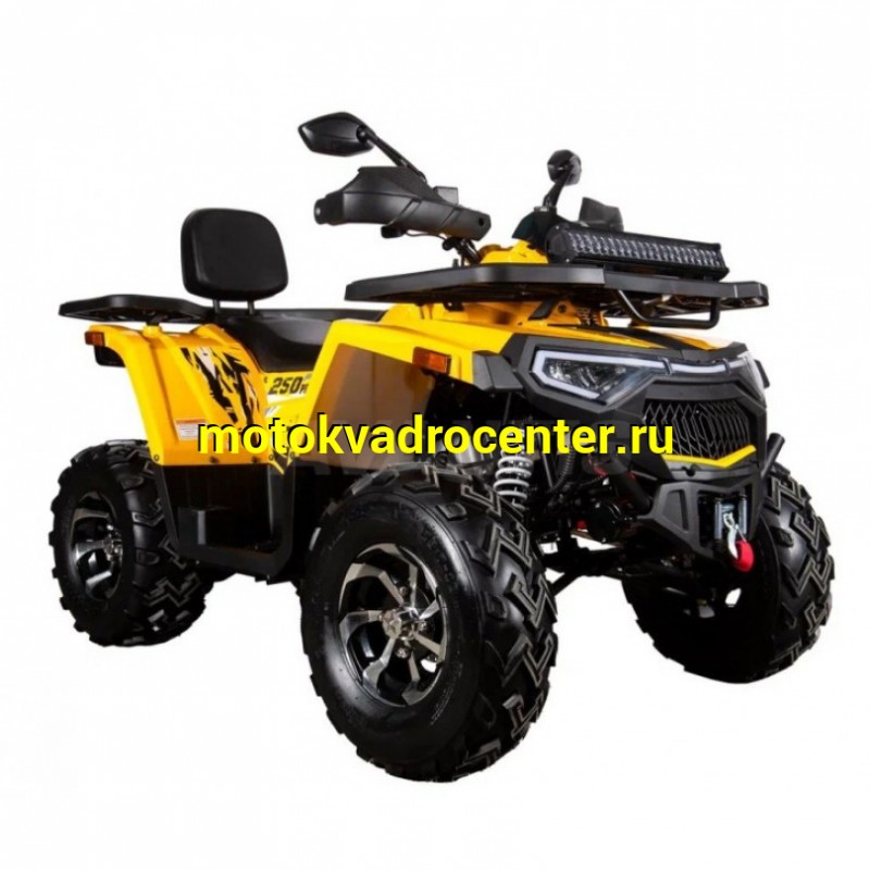 Купить  250cc Комплект запчастей для сборки AVANTIS H250 BIG NEW Premium (баланс. вал) ", для база, эл/ручн стар (шт) ( купить с доставкой по Москве и России, цена, технические характеристики, комплектация фото  - motoserp.ru