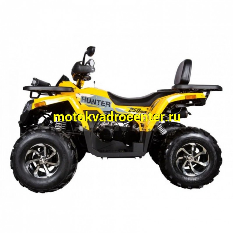 Купить  250cc Комплект запчастей для сборки AVANTIS H250 BIG NEW Premium (баланс. вал) ", для база, эл/ручн стар (шт) ( купить с доставкой по Москве и России, цена, технические характеристики, комплектация фото  - motoserp.ru