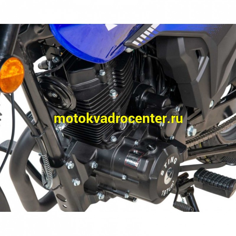 Купить  Мотоцикл Motoland STING 200сс  17/17", диск/диск (шт) (ML 26638 купить с доставкой по Москве и России, цена, технические характеристики, комплектация фото  - motoserp.ru