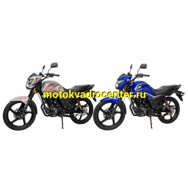 Купить  Мотоцикл Motoland STING 200сс  17/17", диск/диск (шт) (ML 26638 купить с доставкой по Москве и России, цена, технические характеристики, комплектация фото  - motoserp.ru