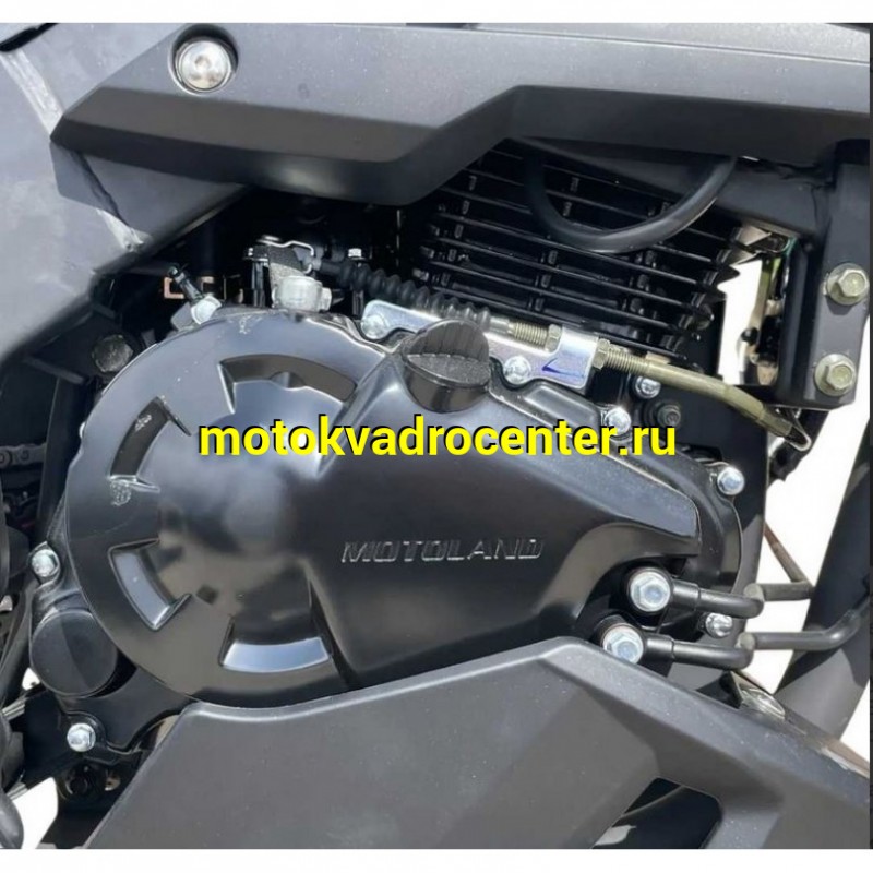 Купить  Мотоцикл  Motoland WASP 300(4T PR300) 17/17" 172FMM-5 PR300 (шт) (ML26635 купить с доставкой по Москве и России, цена, технические характеристики, комплектация фото  - motoserp.ru