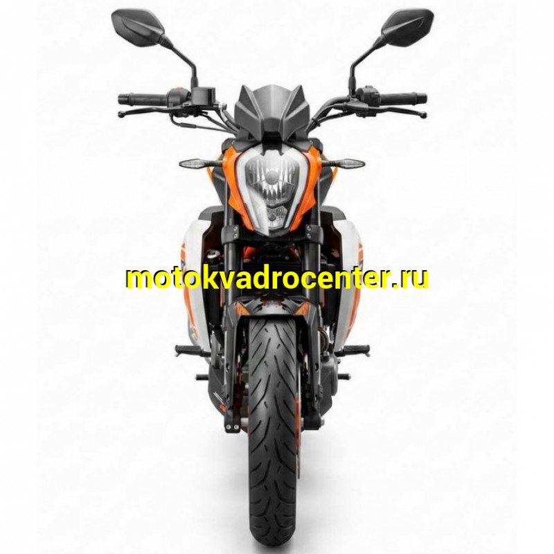 Купить  Мотоцикл  Motoland WASP 300(4T PR300) 17/17" 172FMM-5 PR300 (шт) (ML26635 купить с доставкой по Москве и России, цена, технические характеристики, комплектация фото  - motoserp.ru