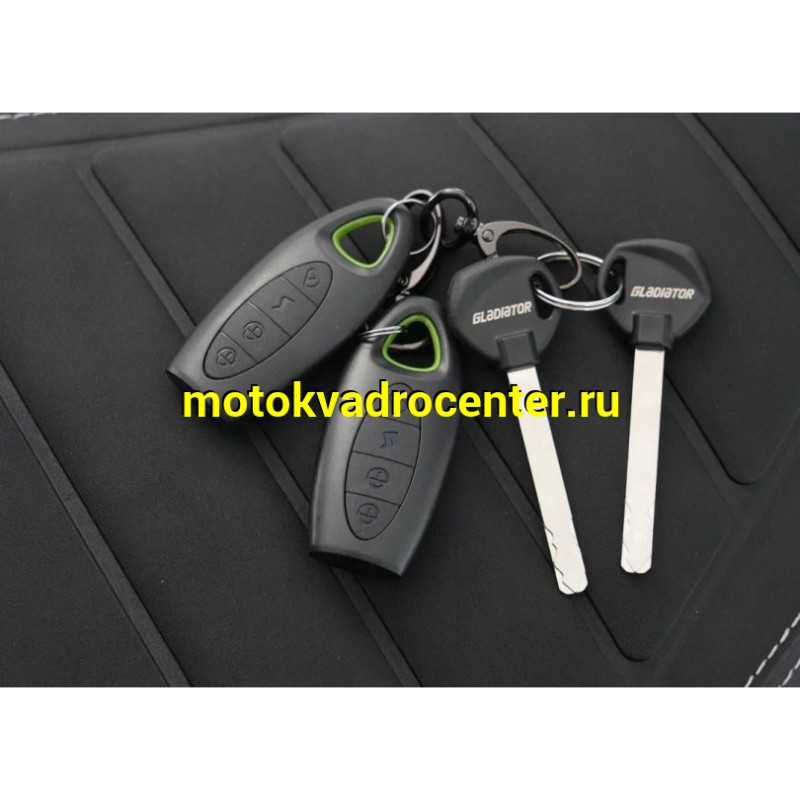Купить  Скутер Gladiator GRACE 13/13", 50сс, Комбибрейк, диск/диск (шт) 01700 купить с доставкой по Москве и России, цена, технические характеристики, комплектация фото  - motoserp.ru