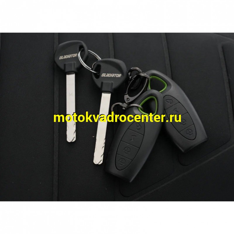 Купить  Скутер Gladiator LUCCA 14/14", 50сс, Комбибрейк, диск/диск (шт) 01700 купить с доставкой по Москве и России, цена, технические характеристики, комплектация фото  - motoserp.ru