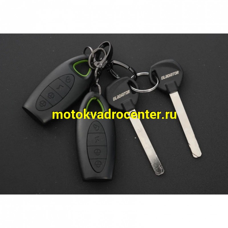 Купить  Скутер Gladiator TVX 14/14", 50сс., Комбибрейк, диск/диск (шт) 01700 купить с доставкой по Москве и России, цена, технические характеристики, комплектация фото  - motoserp.ru