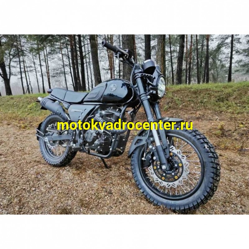 Купить  Мотоцикл RACER RC300-GY8H Triumph Чёрный (Рейсер Триумф) Кафе-рейсер 300cc, 170FMN 25лс, 4Т; 17"; 5 пер, диск торм, (шт)(ФОТО купить с доставкой по Москве и России, цена, технические характеристики, комплектация фото  - motoserp.ru
