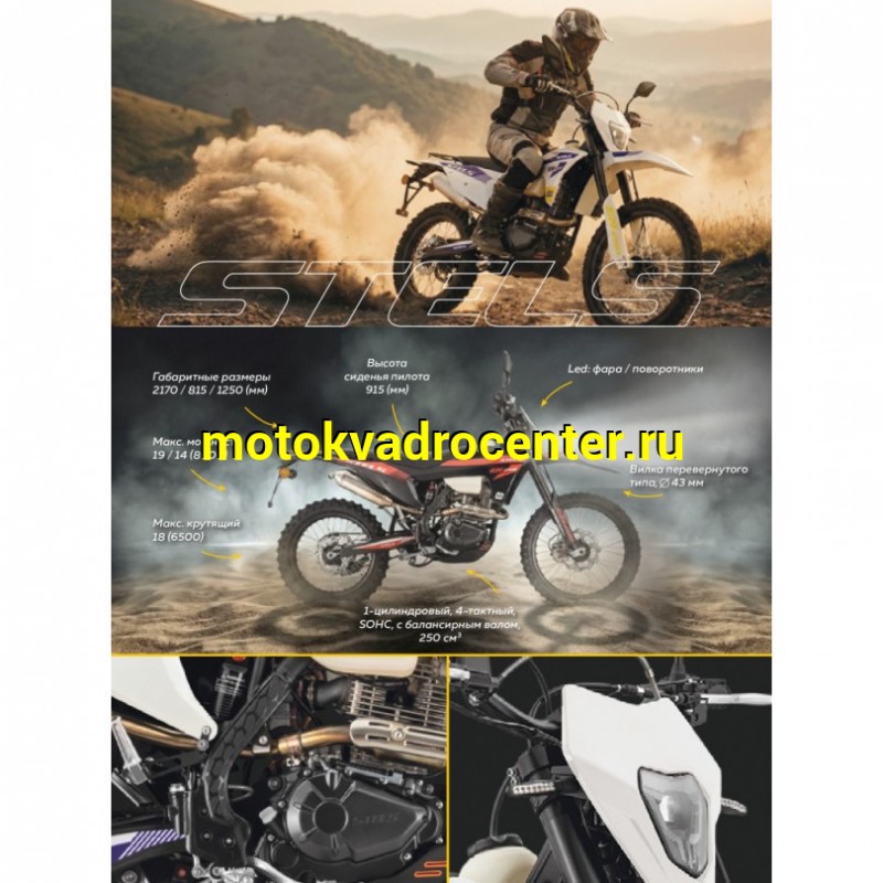 Купить  Мотоцикл Кросс/Эндуро STELS ENDURO EN250 (ПТС) (шт) (STELS купить с доставкой по Москве и России, цена, технические характеристики, комплектация фото  - motoserp.ru