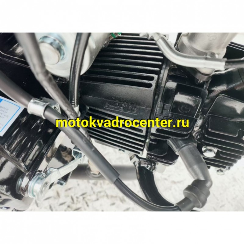 Купить  Мопед Roliz Alpha Street PRO EFI 50 18/18" (шт) (ФОТО купить с доставкой по Москве и России, цена, технические характеристики, комплектация фото  - motoserp.ru