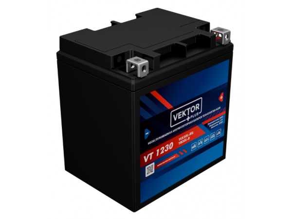 Купить  Аккумулятор 12в 30а (168x126x175) YIX30,YIX30L-BS,YB30L-B Vektor (шт) (VT 1230 купить с доставкой по Москве и России, цена, технические характеристики, комплектация фото  - motoserp.ru
