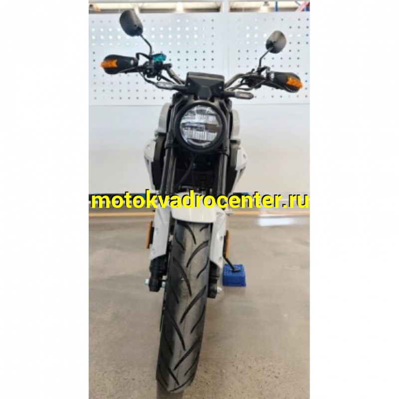 Купить  Мопед KAGAMI (54090), 17/17", диск/диск, 50сс (шт).  купить с доставкой по Москве и России, цена, технические характеристики, комплектация фото  - motoserp.ru