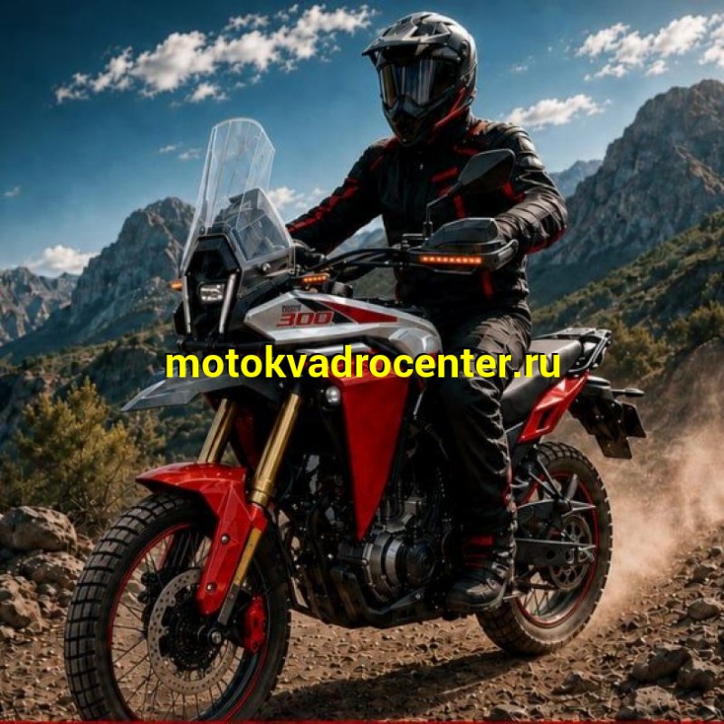 Купить  Мотоцикл внедорожный VMC Rally 300 (Тур-Эндуро)  ЭПТС, 300cc, двиг. Rato RW175FVN 4х клап, 17"/17" (шт) (VMC (фото купить с доставкой по Москве и России, цена, технические характеристики, комплектация фото  - motoserp.ru