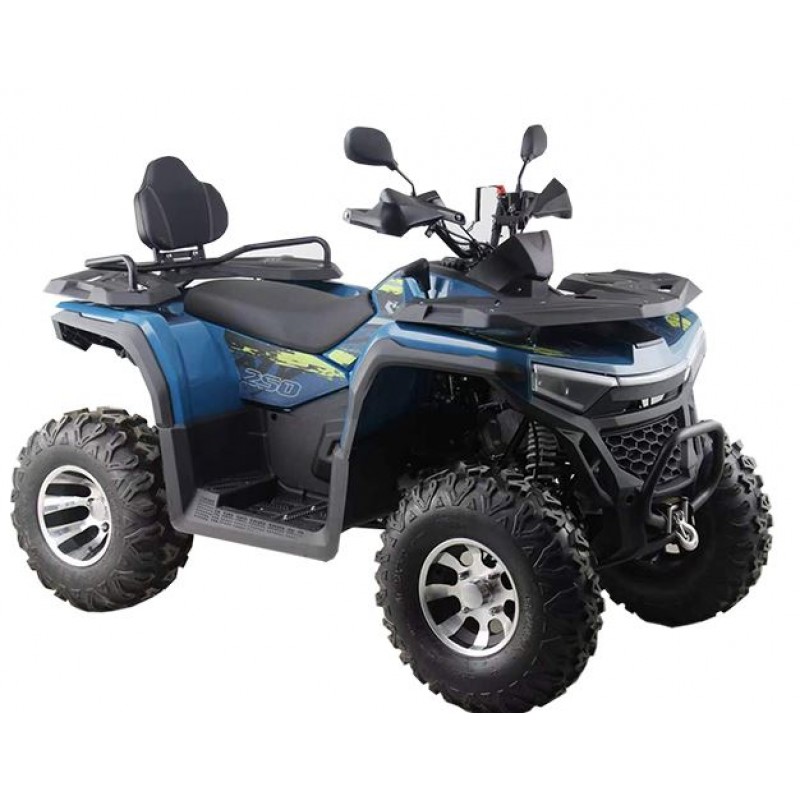 Купить  250cc Комплект запчастей для сборки Racer Shark 250сс 10/10", электростарт, лебедка, фаркоп (шт)  купить с доставкой по Москве и России, цена, технические характеристики, комплектация фото  - motoserp.ru