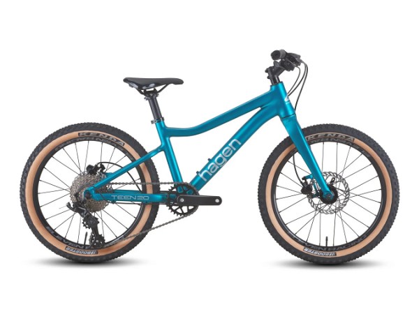 Купить  20" скоростной HAGEN TEEN 20R синий  (Хаген Тен 20р) 20"; 8ск; рама-алюм; тормоз-Disc (шт) (ART  купить с доставкой по Москве и России, цена, технические характеристики, комплектация фото  - motoserp.ru